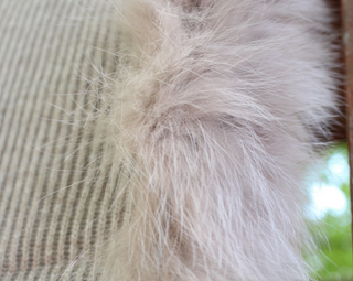 100% Cashmere hooded scarf hat with fur trim